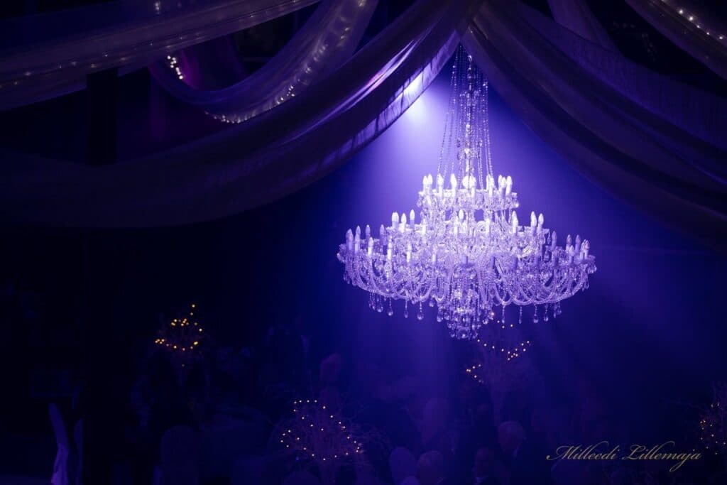 Artistic bespoke chandelier for designer spaces