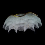 Elegant chandelier design enhancing home atmosphere